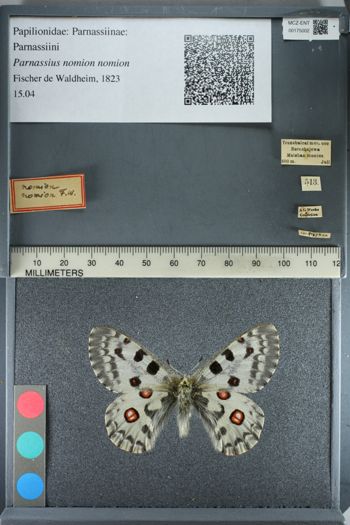 Media type: image;   Entomology 175002